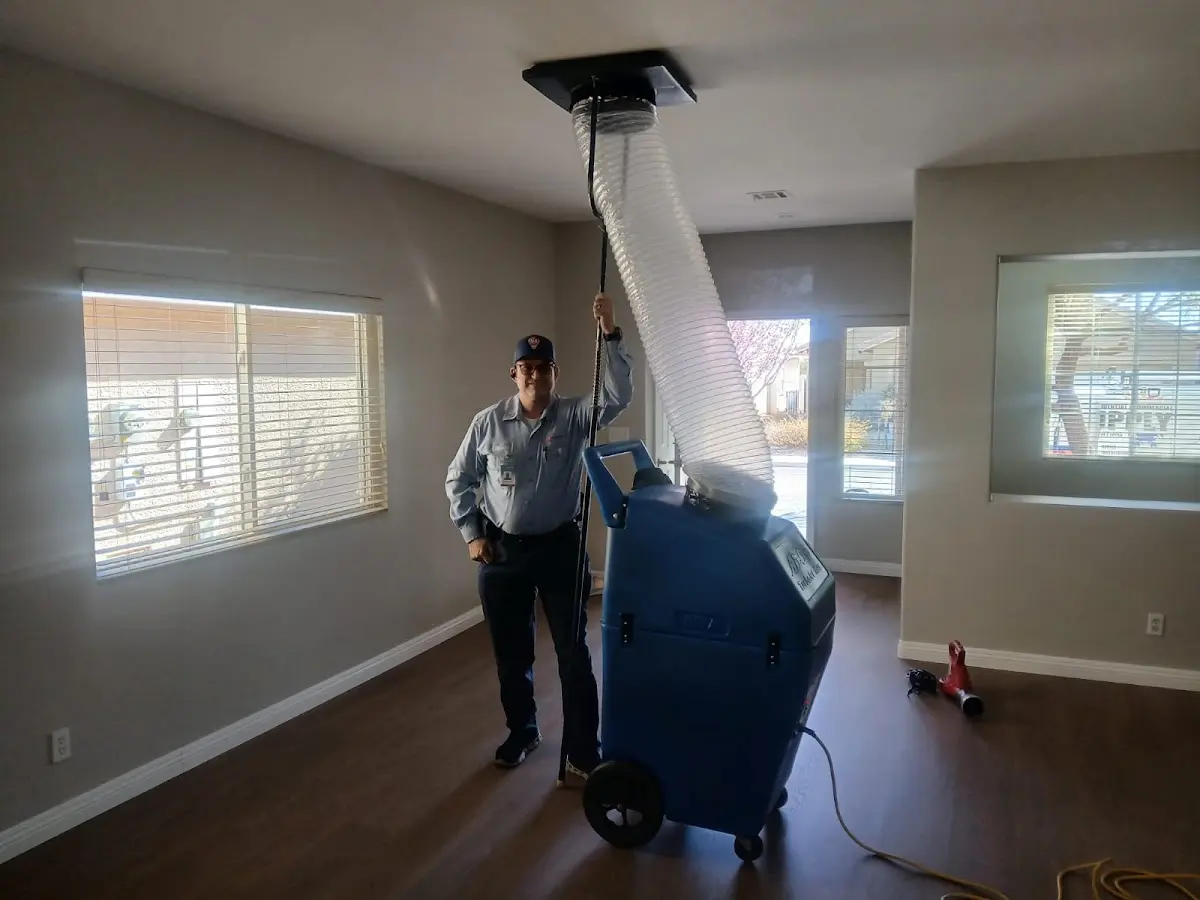 Professional Dryer Vent Cleaning work inside a Glencoe home